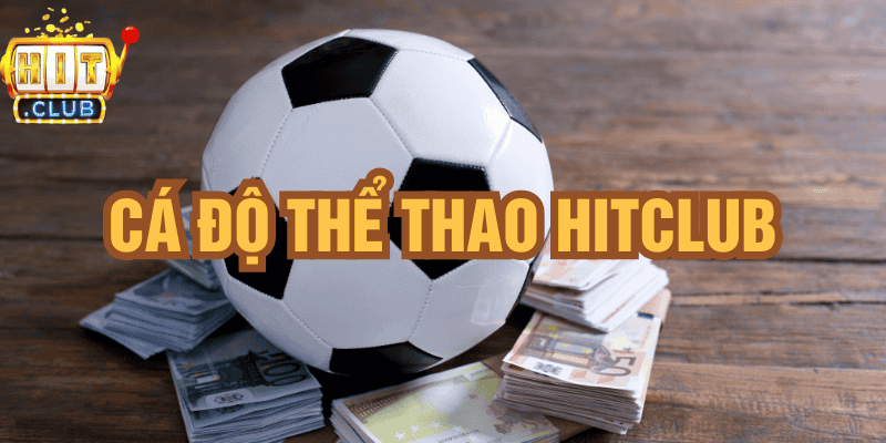 cá độ thể thao hitclub