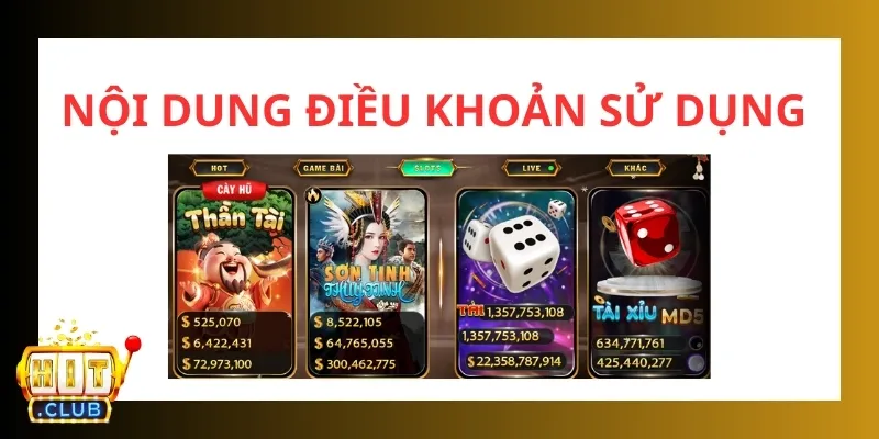 điều khoản sử dụng